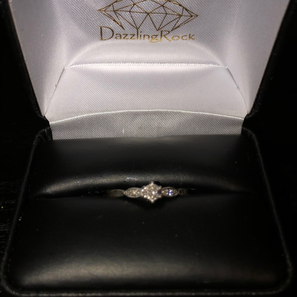 0.05 CTW RD White Diamond  Promise/Engage ring (7)